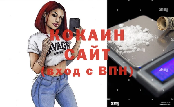 мяу мяу мука Абаза