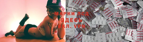 индика Алексин