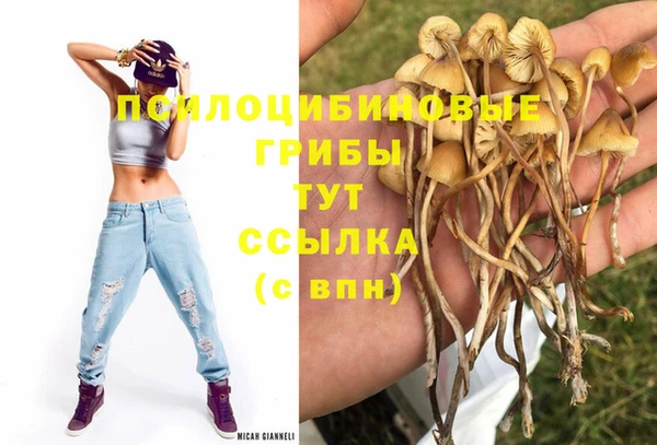 мяу мяу мука Абаза