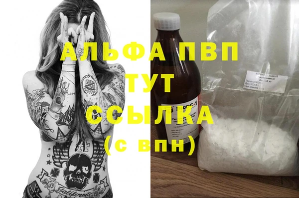 мяу мяу мука Абаза