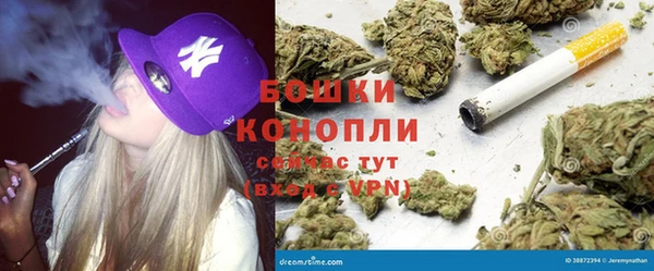индика Алексин