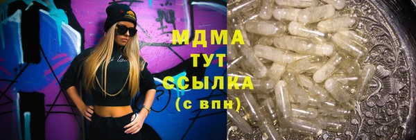 ГАЛЛЮЦИНОГЕННЫЕ ГРИБЫ Вяземский