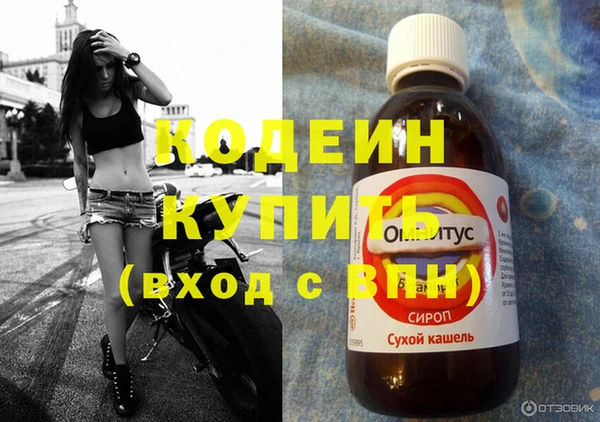 мяу мяу мука Абаза