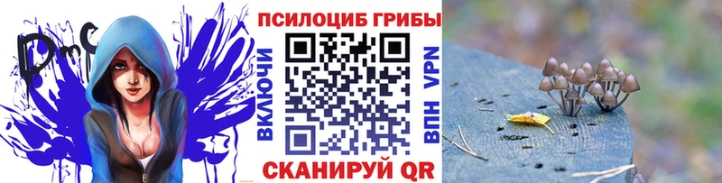 закладка  Весьегонск  Галлюциногенные грибы прущие грибы 
