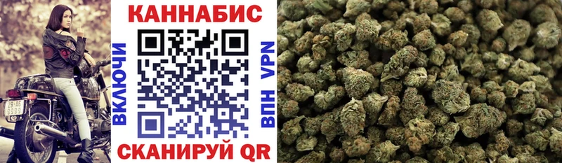 Канабис OG Kush Весьегонск